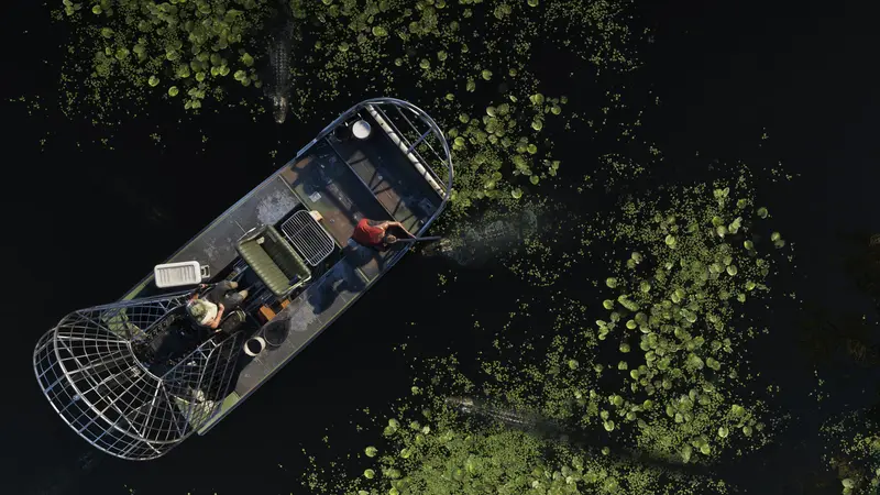 Grassrivers, official GTA 6 screenshot 03